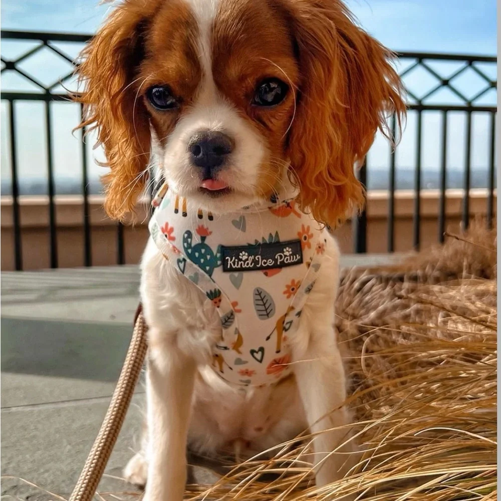 Brand New - Jungle Safari Pup Dog Harness - Picture 10 of 10